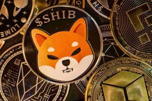 shib