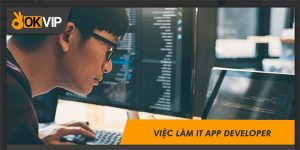 Việc làm IT App Developer Lương Cao
