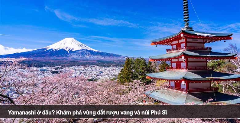 Yamanashi ở đâu? Khám phá vùng đất rượu vang và núi Phú Sĩ
